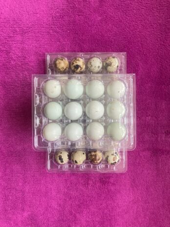 Jaja od Prepelica: Blagodati Zdravlja u Malom Pakiranju post thumbnail image